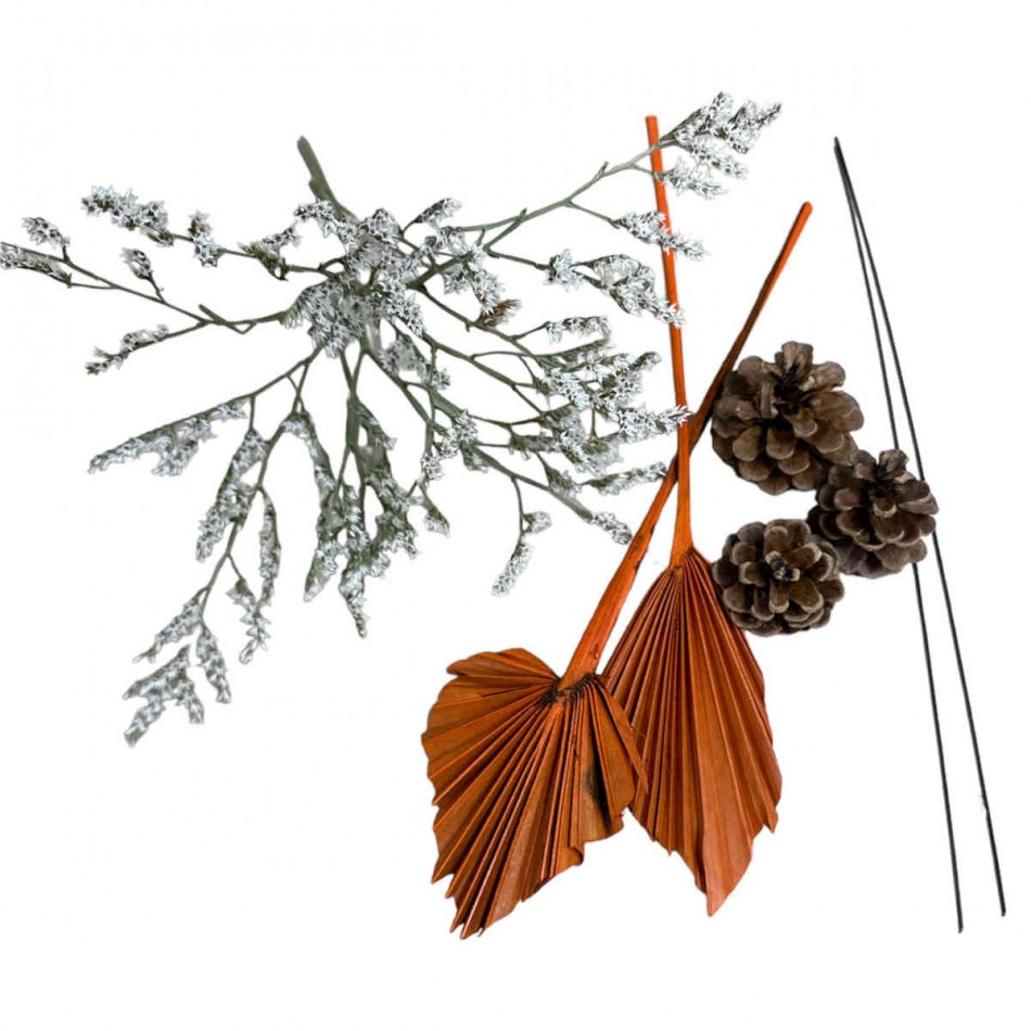 Palmblad, risp och kottar