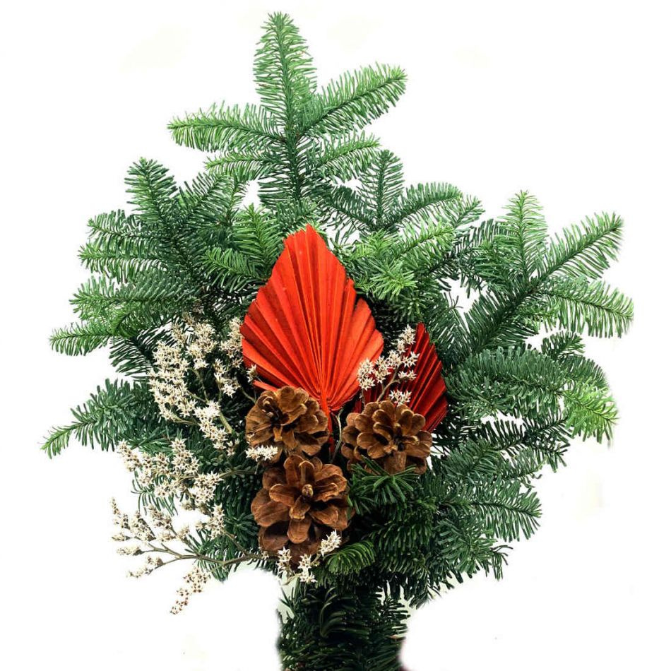 Palmblad, risp och kottar