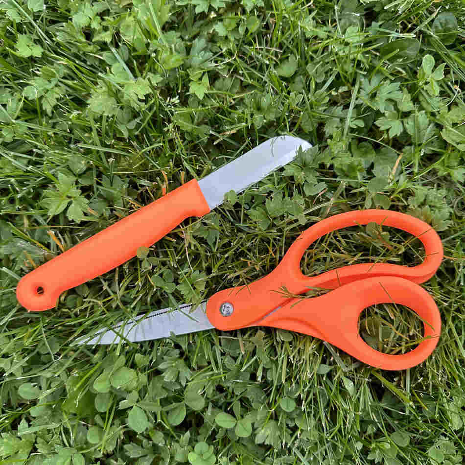 Sax och kniv i orange färger - Floristverktyg