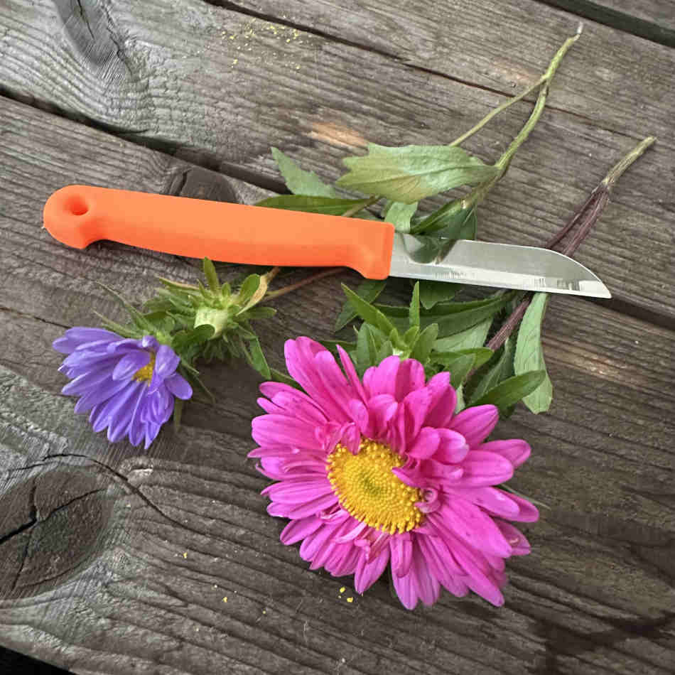 Floristkniv, Orange