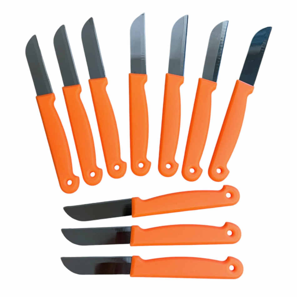 Floristknivar, Orange 10 st