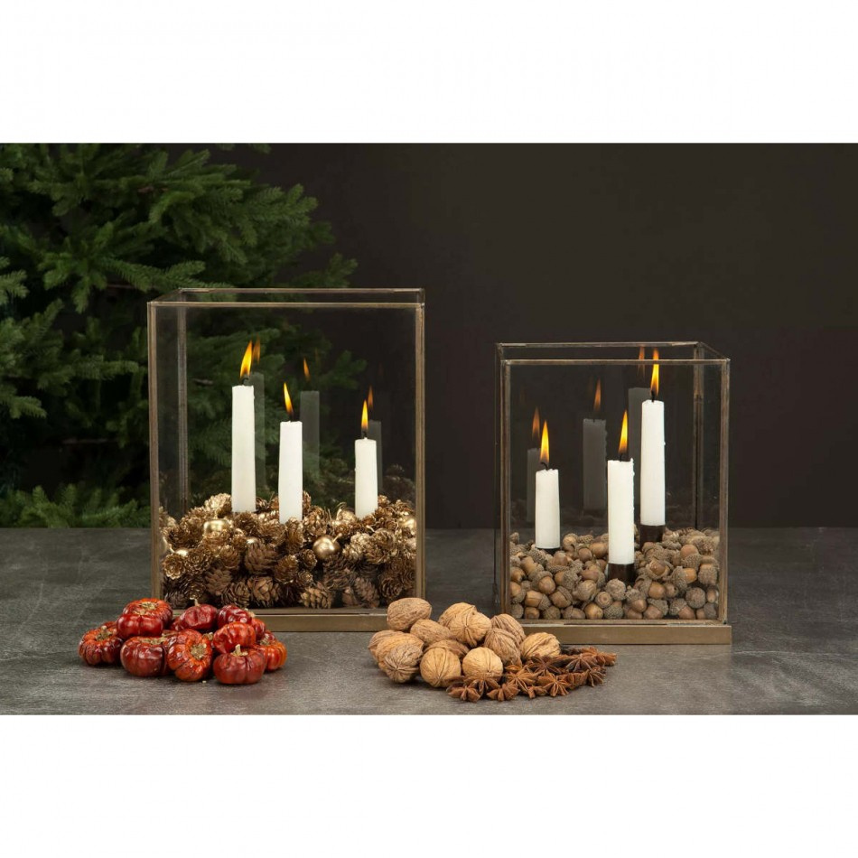 Torkad Stjärnanis 70g