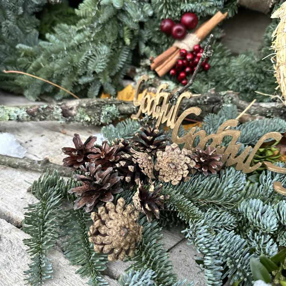 Kottar / Tallkottar ca 10 st