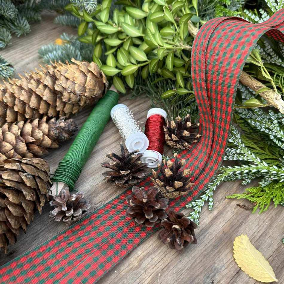 Kottar / Tallkottar ca 10 st