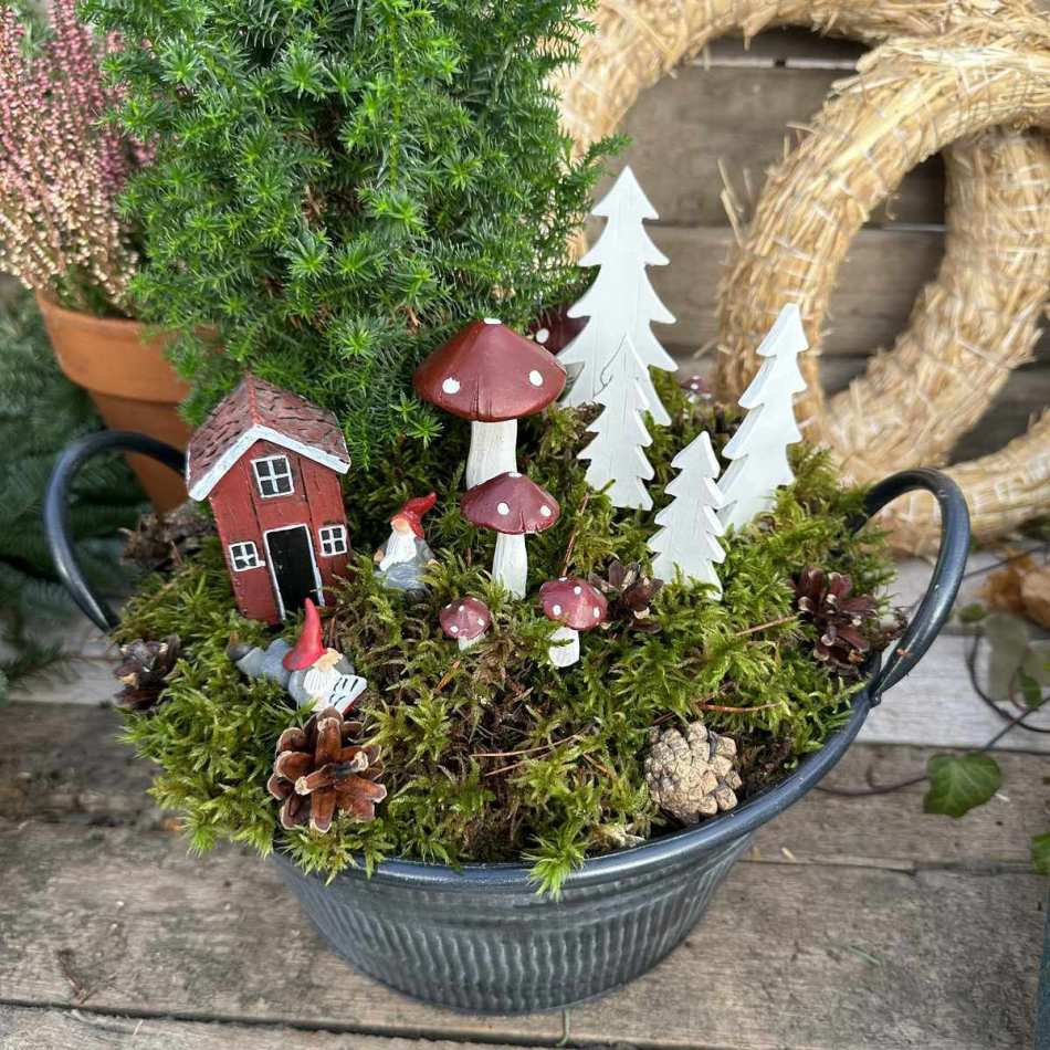 Kottar / Tallkottar ca 10 st