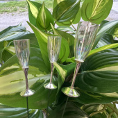 Champagneglas 2 storlekar. Silver Champagneglas 2 storlekar. Silver