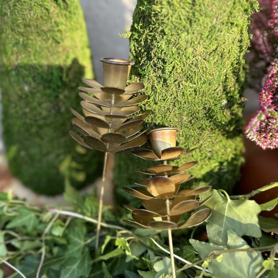 Ljushållare Kronljus Kotte - Antik mässing