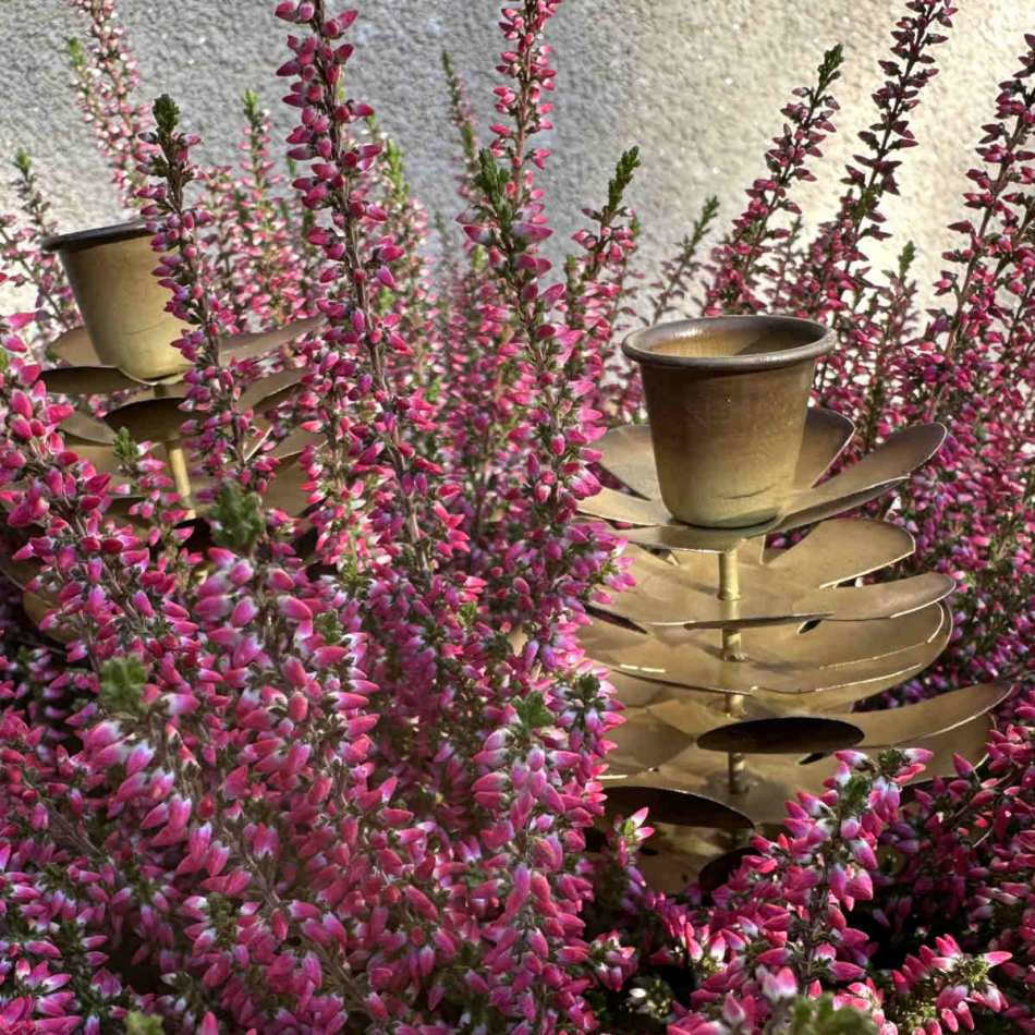 Ljushållare Kronljus Kotte - Antik mässing