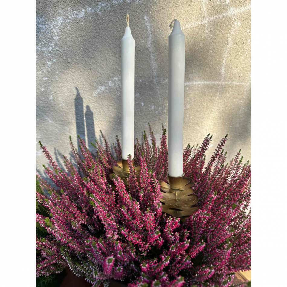 Ljushållare Kronljus Kotte - Antik mässing