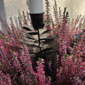 Ljushållare Kronljus Kotte - Mörkbrun Ljushållare Kronljus Kotte - Mörkbrun