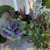 Ljushållare Kronljus Kotte - Mörkbrun Ljushållare Kronljus Kotte - Mörkbrun