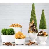 Apelsinskivor, 100 gram (ca 30 st skivor) Apelsinskivor, 100 gram (ca 30 st skivor)