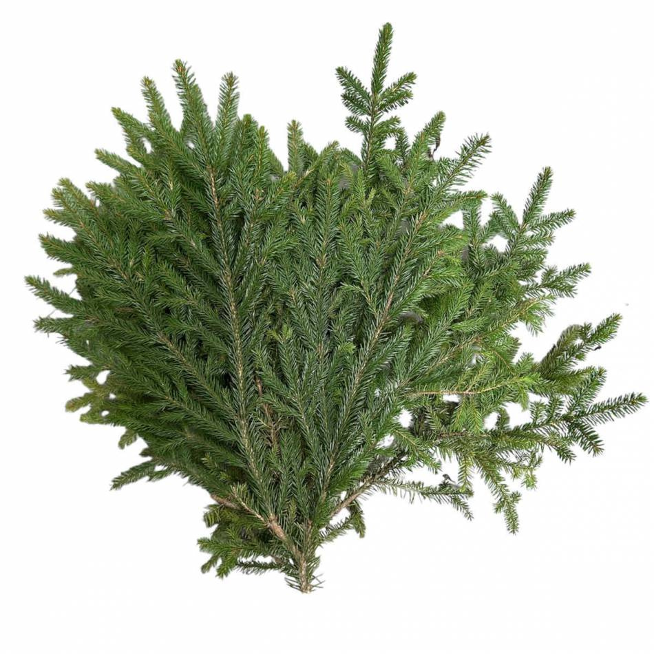 Granris för marktäckning