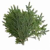 Granris för marktäckning Granris för marktäckning