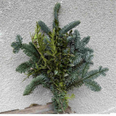 Bukett - Ädelris, buxbom och thuja Bukett - Ädelris, buxbom och thuja