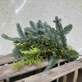 Bukett - Ädelris, buxbom och thuja Bukett - Ädelris, buxbom och thuja