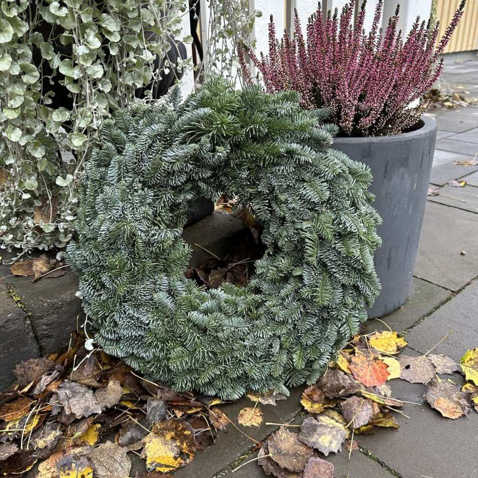 Krans i Nobilis, ca 39 cm