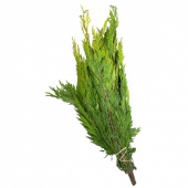 Gul cypress – dekorationsris ca500 g Gulgrönt cypressris med kvistar i varierande gula och gröna nyanser