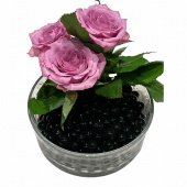 Vattenpärlor - Svarta Vattenpärlor - Svarta