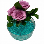 Vattenpärlor - Turkos Vattenpärlor - Turkos