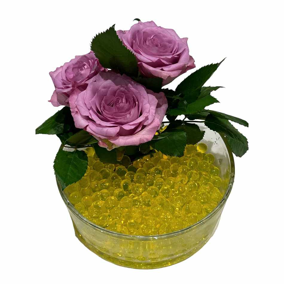 Vattenpärlor - Guldgul