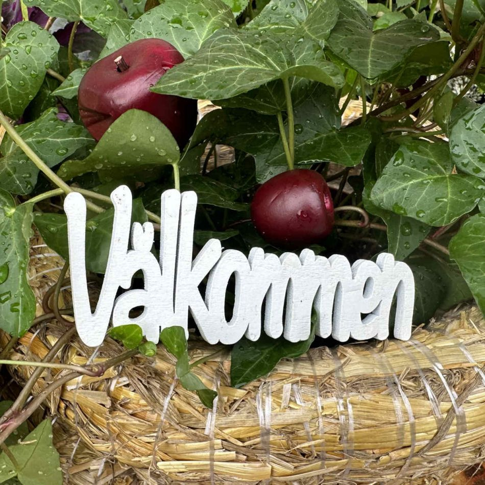 Äpplen Mörkröda  8 st Mixade storlekar