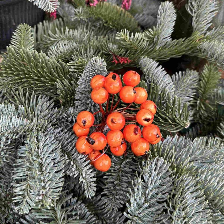 Bär / knippe, orange. 13 mm. 