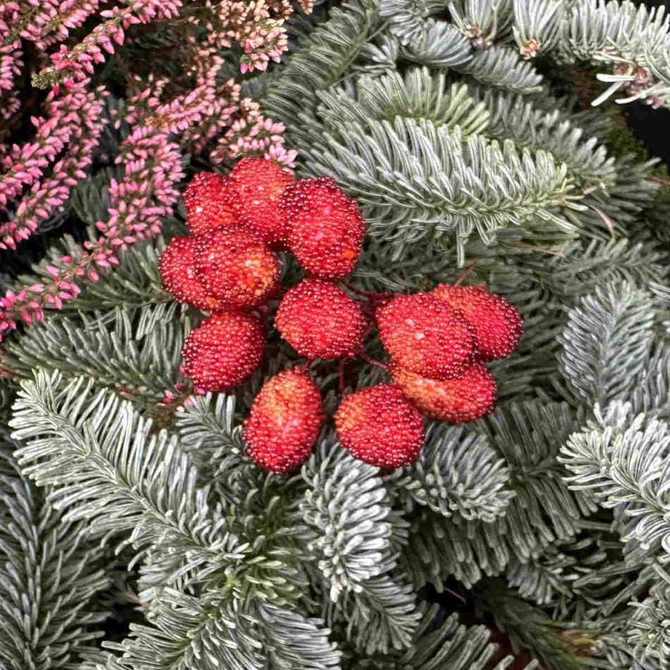 Bär / knippe, Orange/röd. 20 mm. 