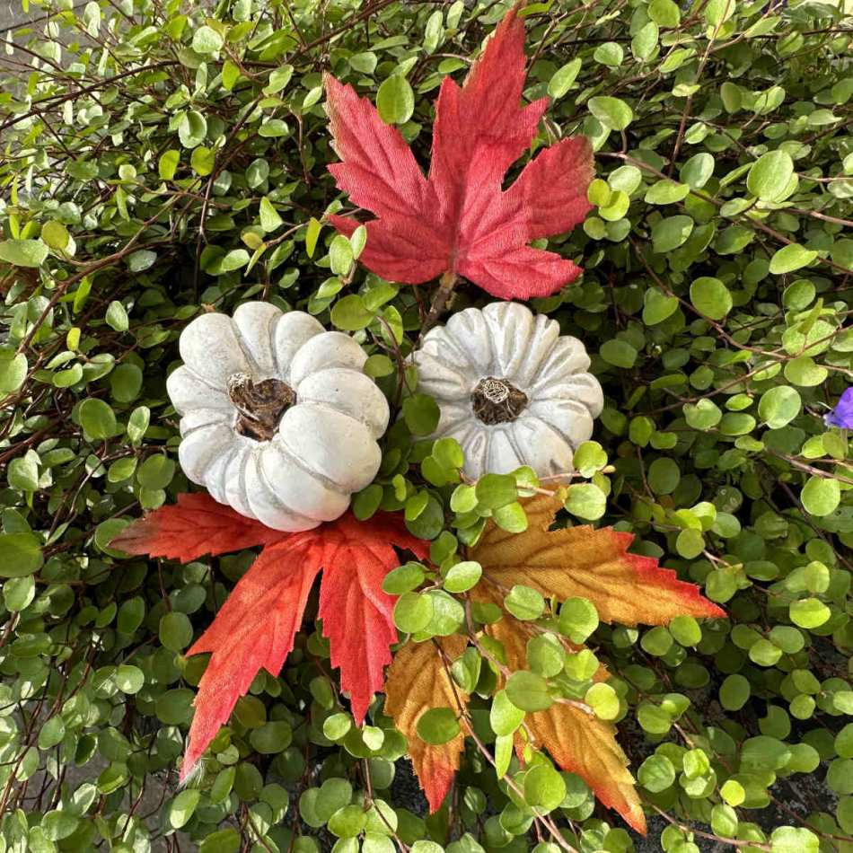 Löv i 3 färger. 12 st