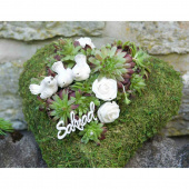 Cremefärgad ros av vattenfast tyg ca 4 cm Cremefärgad ros av vattenfast tyg ca 4 cm