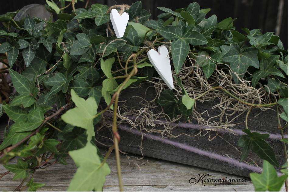 Hjärtan på natursnöre, avlånga, vita