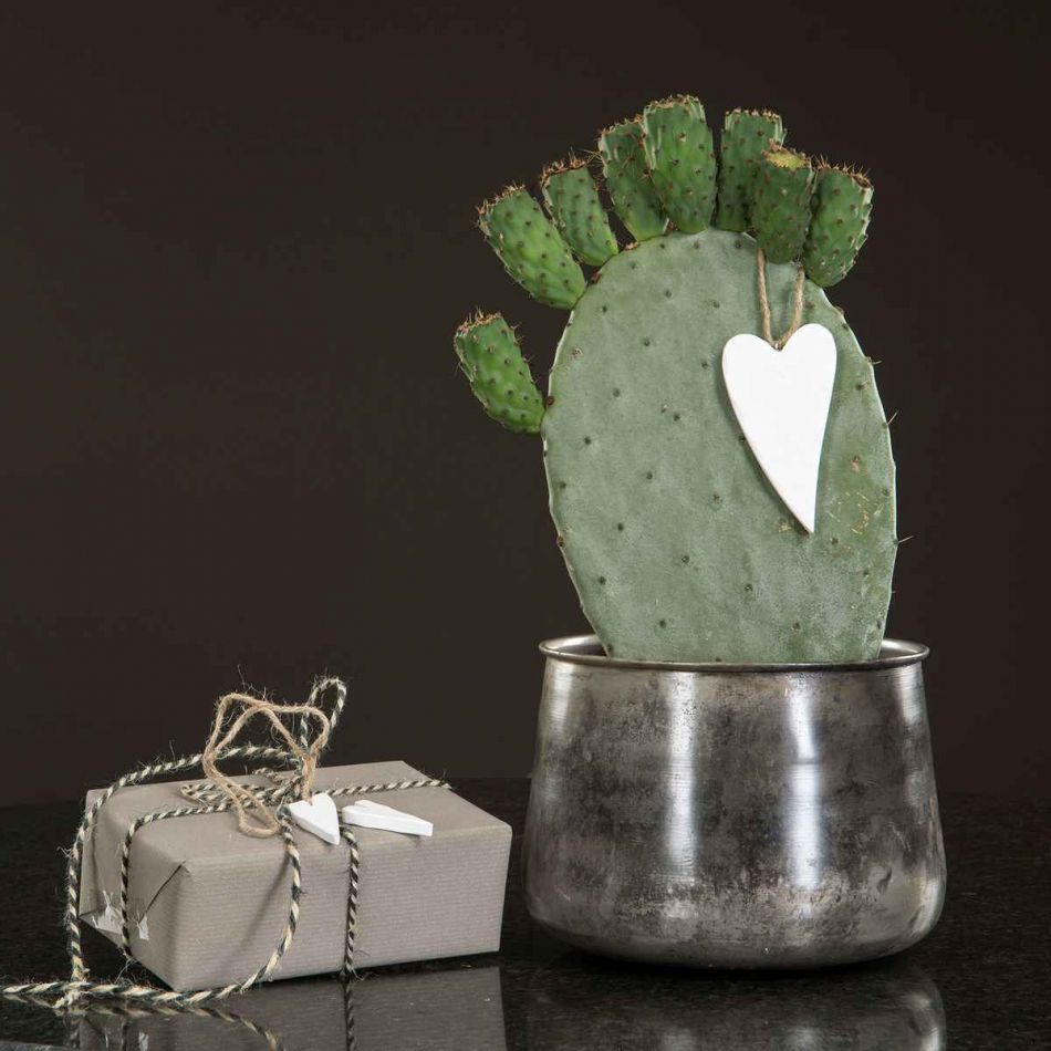 Hjärtan på natursnöre, avlånga, vita