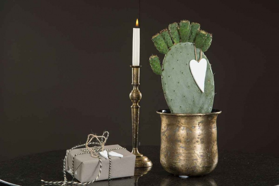 Hjärtan på natursnöre, avlånga, vita