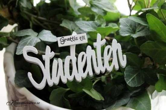 Grattis till studenten - skylt/stick. 8.5x4.5  