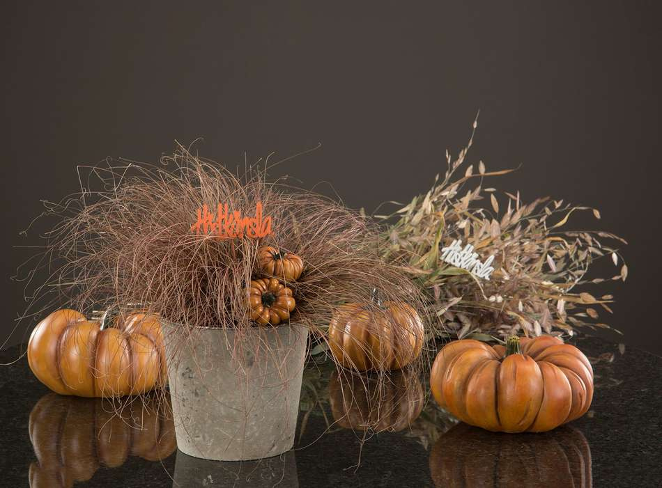 Höstkänsla Vit 9 cm