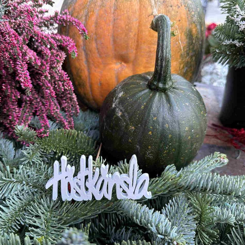 Höstkänsla Vit 9 cm