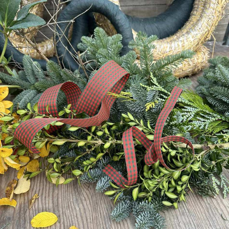 Dekorband rutigt Röd/Mörkgrön 15 mm (3 meter)