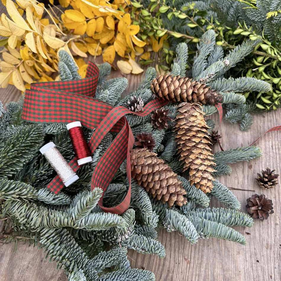 Dekorband rutigt Röd/Mörkgrön 40 mm (3 meter)