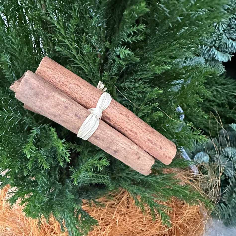 Kanel, trådad. 8 cm. 3 st