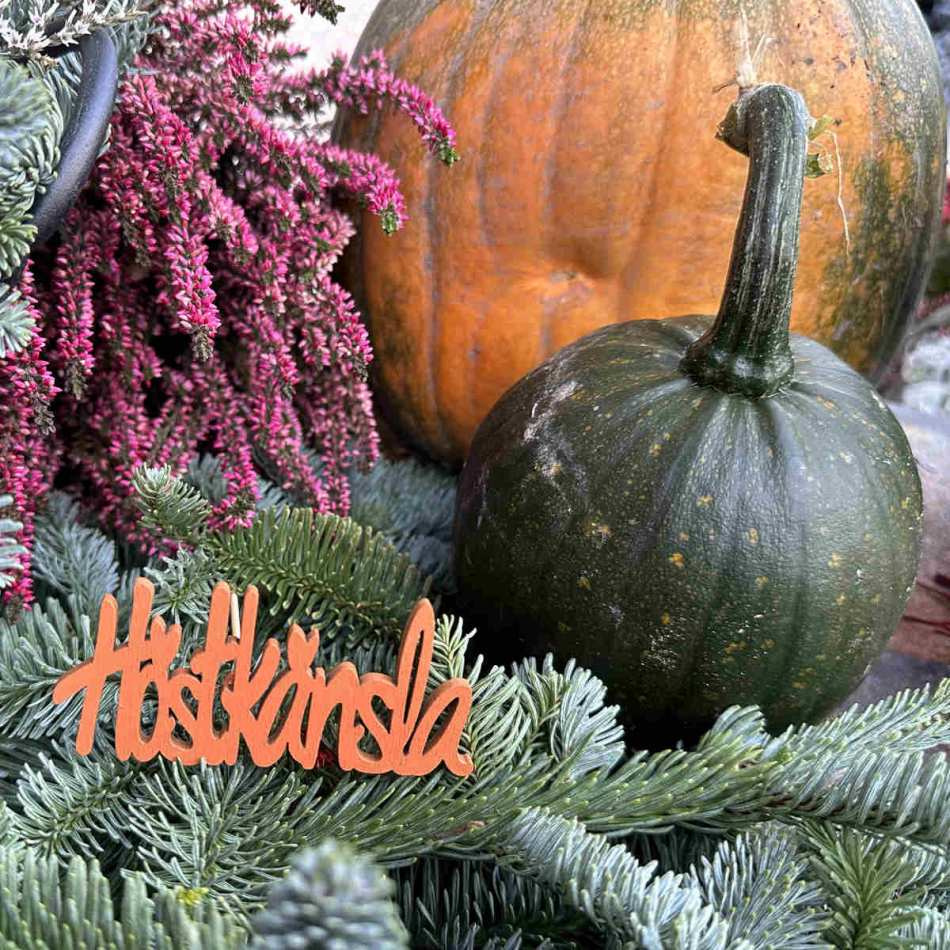 Höstkänsla Orange 9 cm