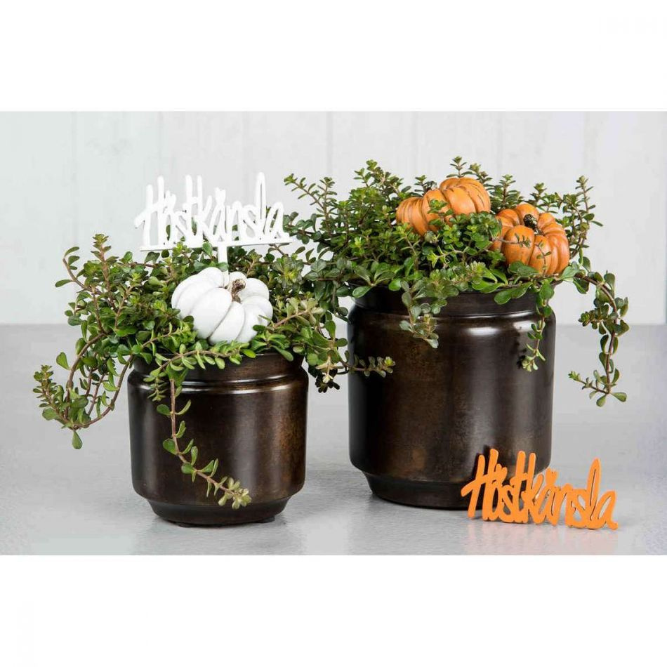 Höstkänsla Orange 9 cm