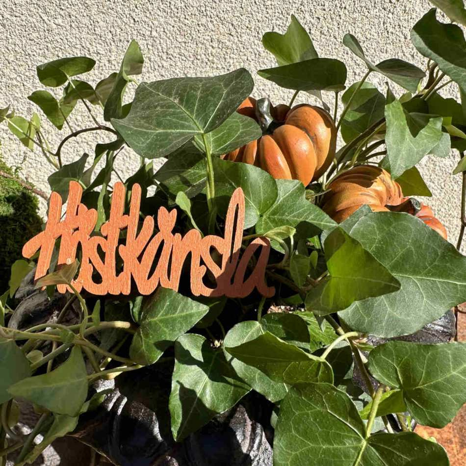 Höstkänsla Orange 9 cm