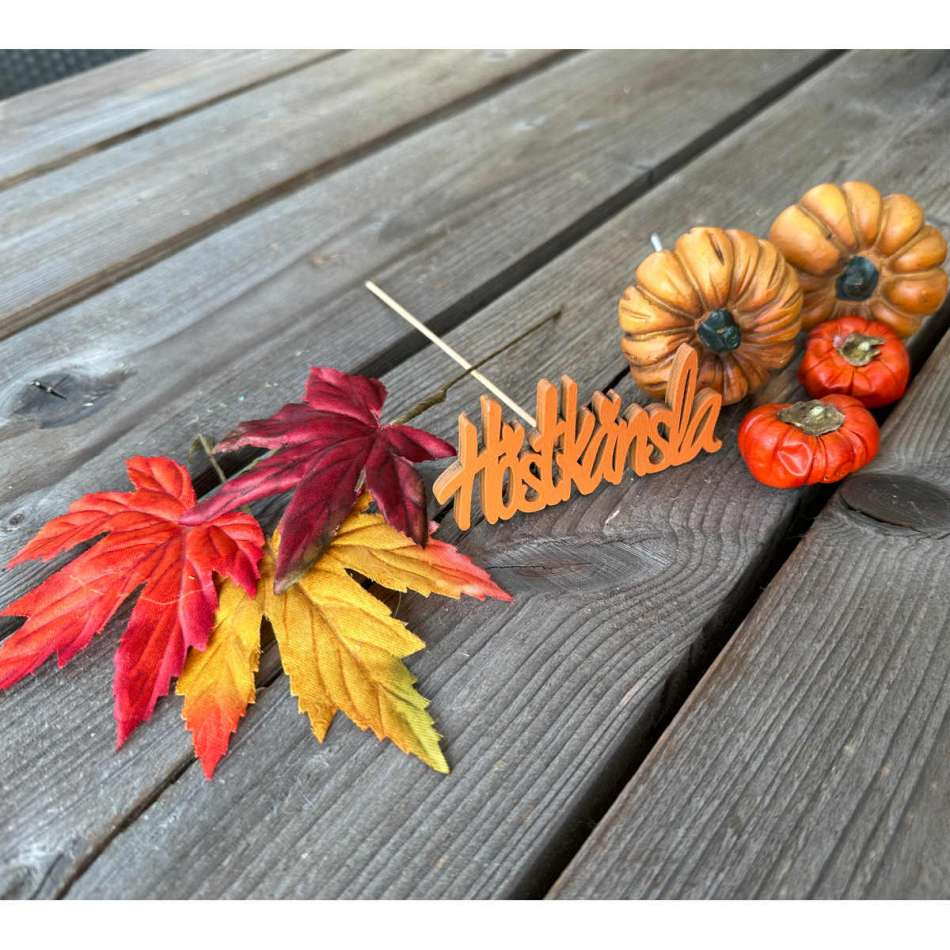 Höstkänsla Orange 9 cm