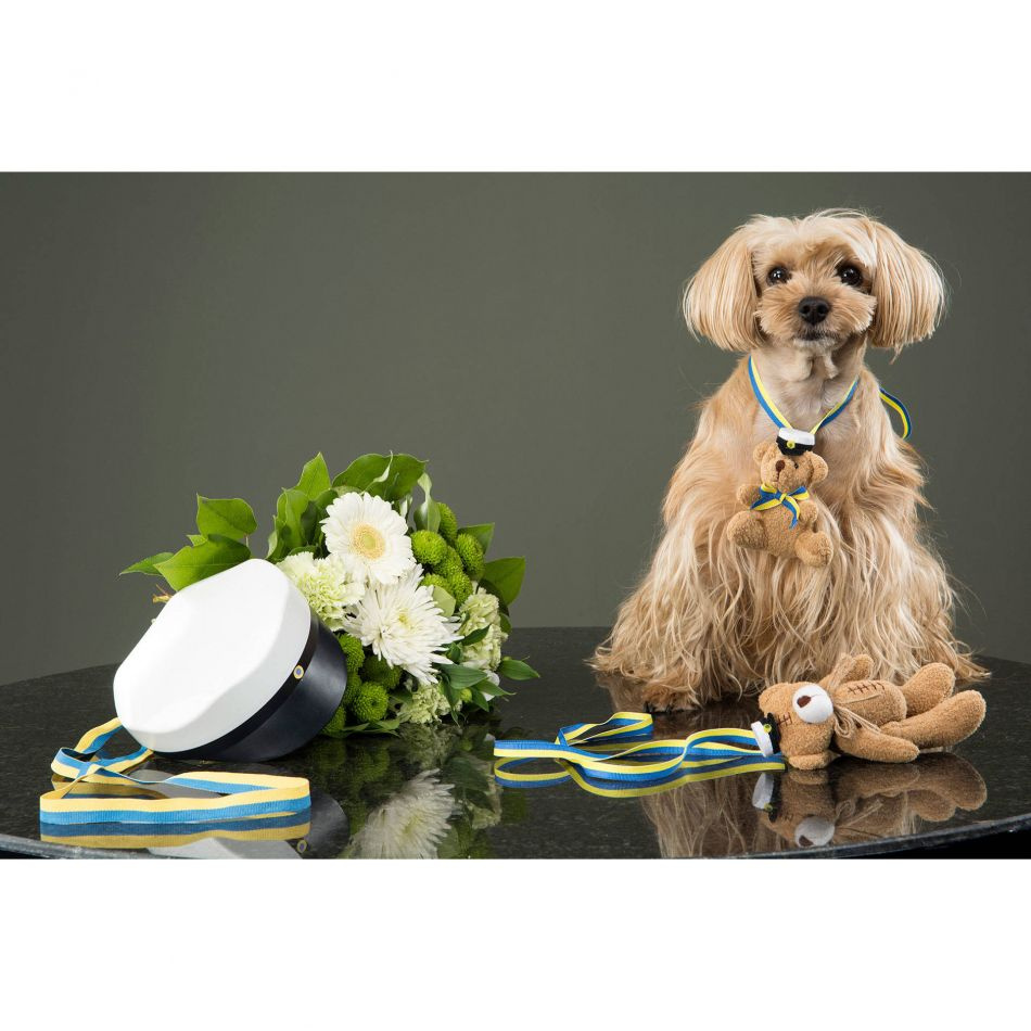 Nalle till examen. 18 cm