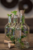 Glasflaska med kork 150 ml Glasflaska med kork 150 ml