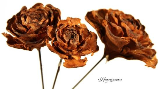 Kotterosor i olika storlekar, bruna, 3 st