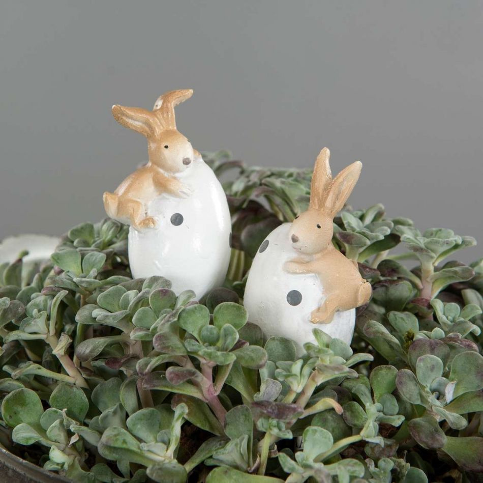 Kaniner på ägg, 2 olika