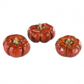 Pumpor torkade 5 st Pumpor torkade 5 st