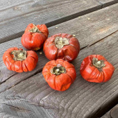 Pumpor torkade 5 st Pumpor torkade 5 st