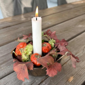 Pumpor torkade 5 st Pumpor torkade 5 st